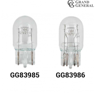 Clear Miniature 12V Replacement Light Bulbs - Ideal for Various Fixtures