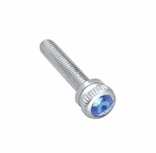 2002 Kenworth Dash Screw with Blue Crystal Diamond - Single Screw