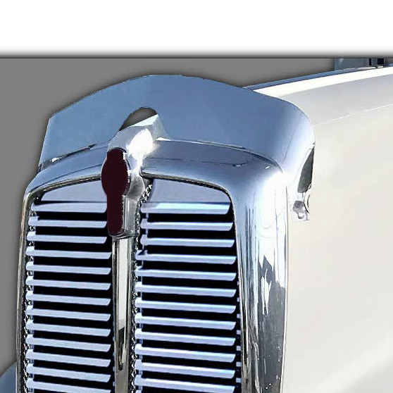 Kenworth T660 5.5 Inch Bug Shield - Durable Protection for Your Truck